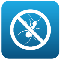 Désinsectisation : Insecticides pour éliminer les fourmis, guêpes et autres insectes nuisibles