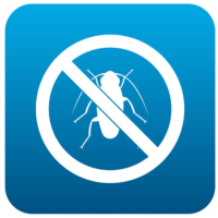Produits et traitements anti-cafards et anti Blattes - Gel insecticide